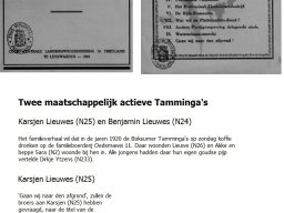 Voorpagina's van artikel en brochure Tamminga_1